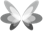 butterfly_image